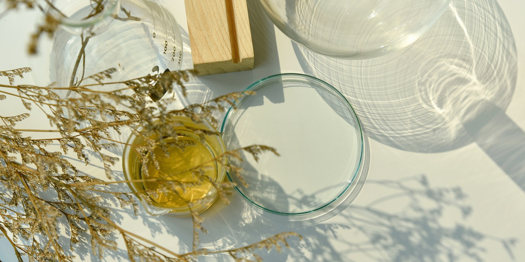 Beauté Holistique : Alimentation & Peau